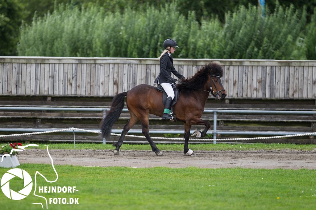 AHEJ0098.jpg